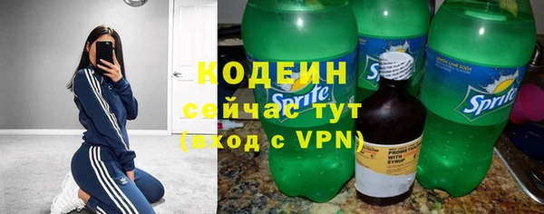 дурь Арсеньев