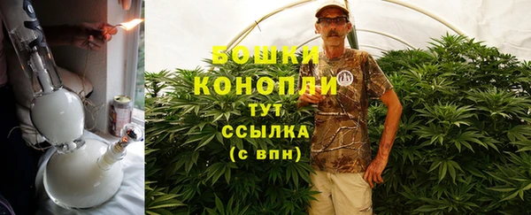 дурь Арсеньев
