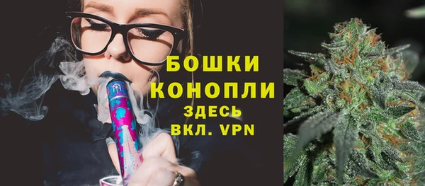 дурь Арсеньев