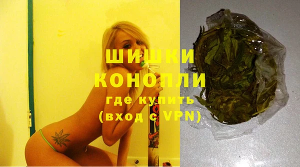дурь Арсеньев